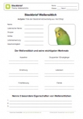 Arbeitsblatt: Steckbrief Wellensittich