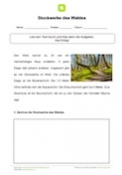 Stockwerke des Waldes Stockwerke des Waldes