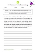 Verben Fehlertext - Der Krokus und seine Beschreibung