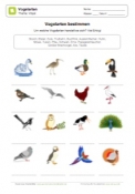 Arbeitsblatt: Vogelarten bestimmen