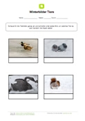 Winterbilder Tiere Winterbilder Tiere