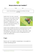 Arbeitsblatt: Woran erkennt man Insekten?