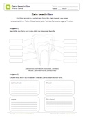 Arbeitsblatt: Zahn beschriften
