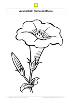 Ausmalbild Bluehende Blume