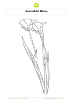 Ausmalbild Blume
