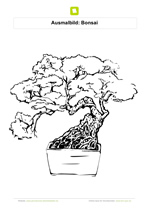 Ausmalbild Bonsai