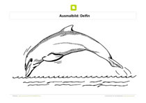 Ausmalbild Delfin springt im Wasser