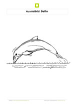 Ausmalbild Delfin