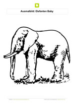 Ausmalbild Elefanten Baby