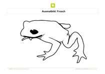 Ausmalbild Frosch von der Seite