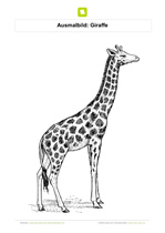 Ausmalbild Giraffe gemustert