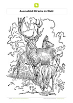 Ausmalbild Hirsche im Wald
