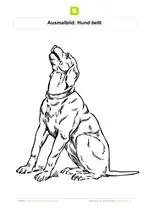 Featured image of post Ausmalbild Hund