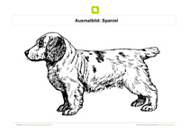 Ausmalbild Hund Spaniel