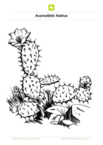 Ausmalbild Kaktus