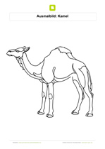 Ausmalbild Kamel