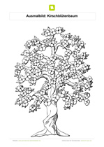 Ausmalbild Kirschblütenbaum