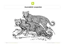 Ausmalbild Leoparden