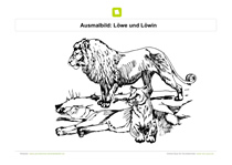 Ausmalbild Löwe und Löwin