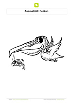 Ausmalbild Pelikan