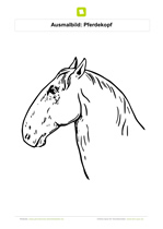 ausmalbilder pferde - kostenlose ausmalbilder