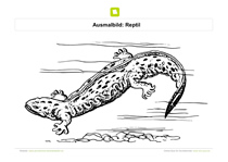 Ausmalbild Reptil