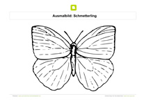 Ausmalbild Schmetterling mit 4 Flügeln