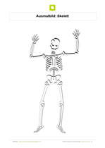 Ausmalbild Skelett