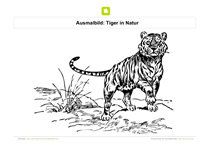 Ausmalbild Tiger in Natur
