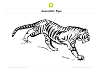 Ausmalbild Tiger