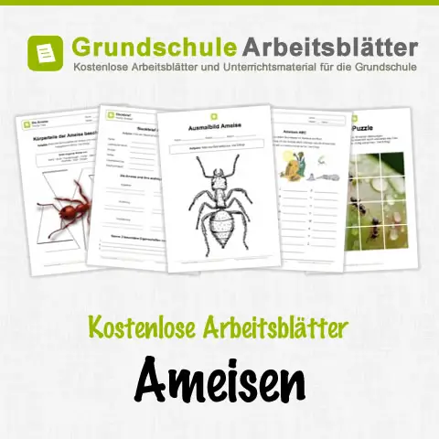 Kostenlose Arbeitsblätter Ameisen