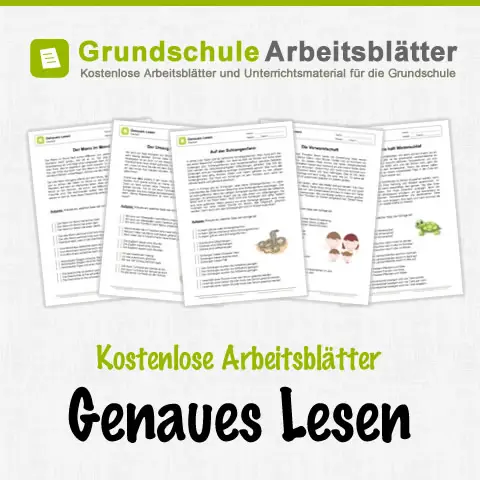 Kostenlose Arbeitsblätter Genaues Lesen