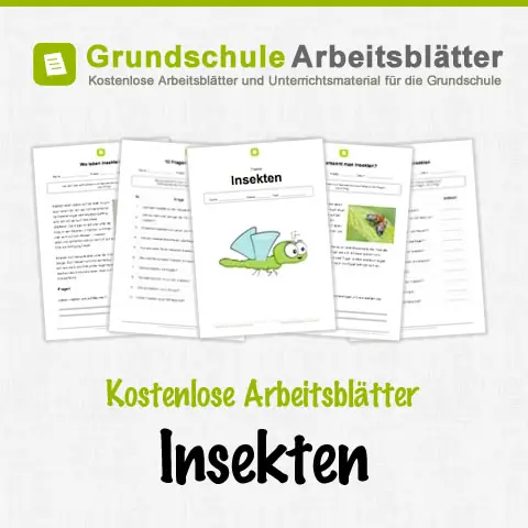 Kostenlose Arbeitsblätter Insekten