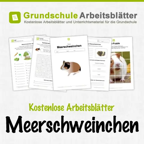 Kostenlose Arbeitsblätter Meerschweinchen