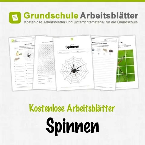 Kostenlose Arbeitsblätter Spinnen