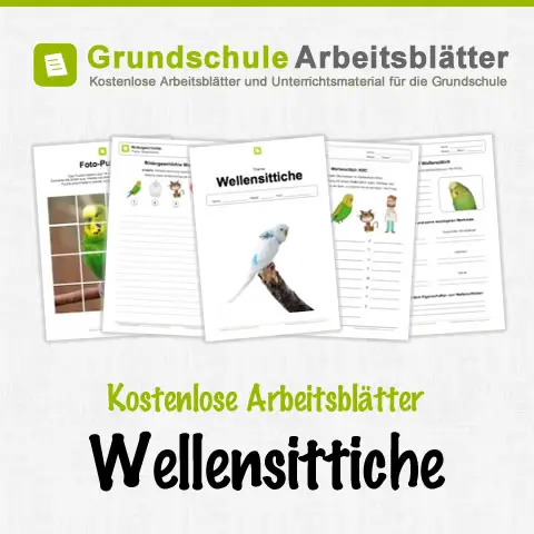 Kostenlose Arbeitsblätter Wellensittiche