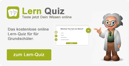 Lern-Quiz