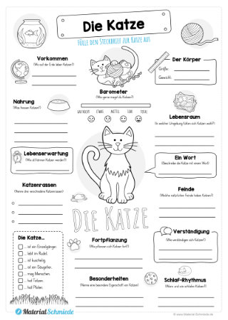 Katzen Info Für Kinder